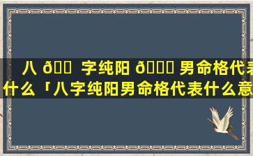 八 🐠 字纯阳 🍀 男命格代表什么「八字纯阳男命格代表什么意思」